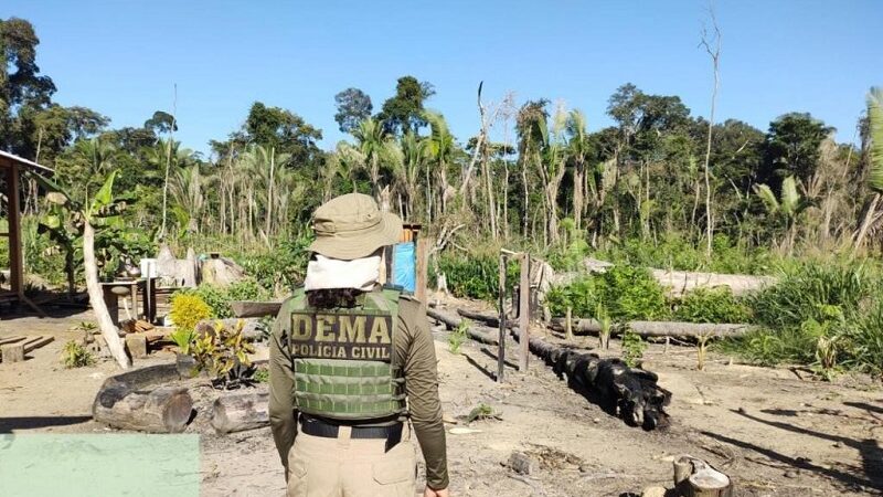 Operação Cordilheira sequestra propriedades e aplica multa de R$ 2,8 bilhões por desmate químico no Pantanal