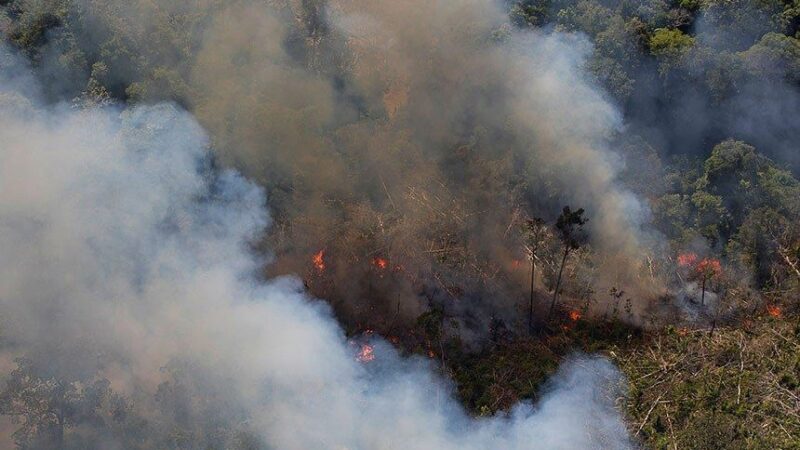 Combate a incêndios florestais em Mato Grosso ganha força em segundo mês de crescimento