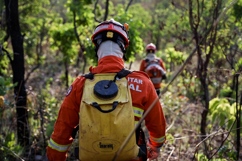 Corpo de Bombeiros segue no combate a incêndio florestal em Cáceres nesta segunda-feira (01)