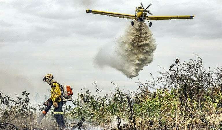 Bombeiros combatem 42 incêndios florestais neste domingo em Mato Grosso