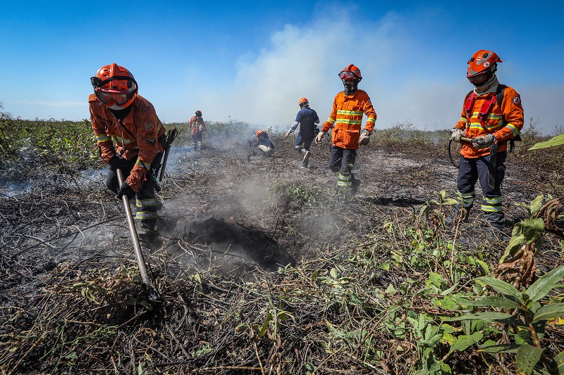 STF suspende processos e decisões sobre combate a queimadas na Amazônia e no Pantanal