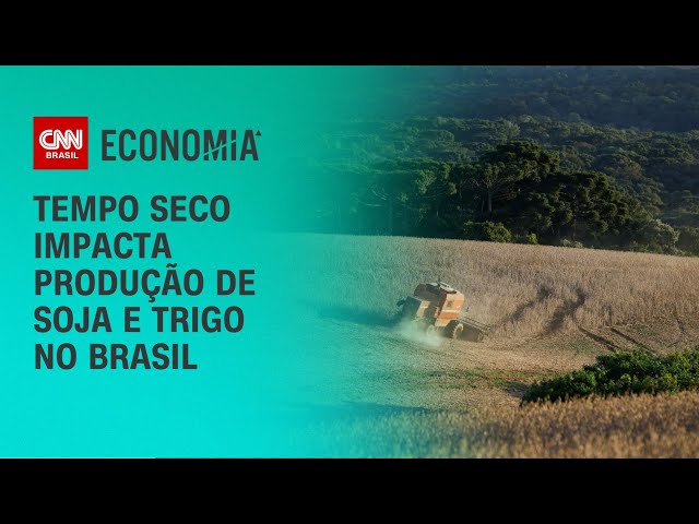 Fávaro anuncia acesso a financiamentos para produtores afetados por queimadas