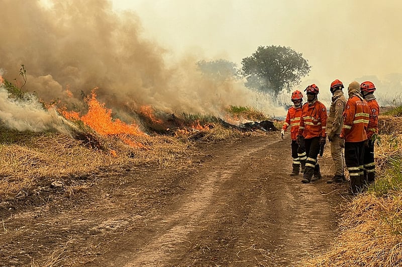 Governador Mauro Mendes diz que Lula precisa de ações concretas para ajudar combater incêndios no Mato Grosso