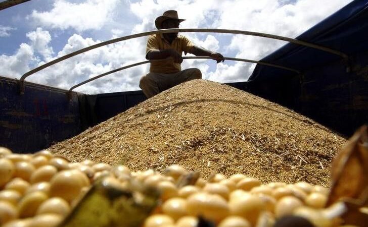 Plantio de soja atinge 4,5% no Brasil, diz AgRural; ritmo no MT é o mais lento em anos