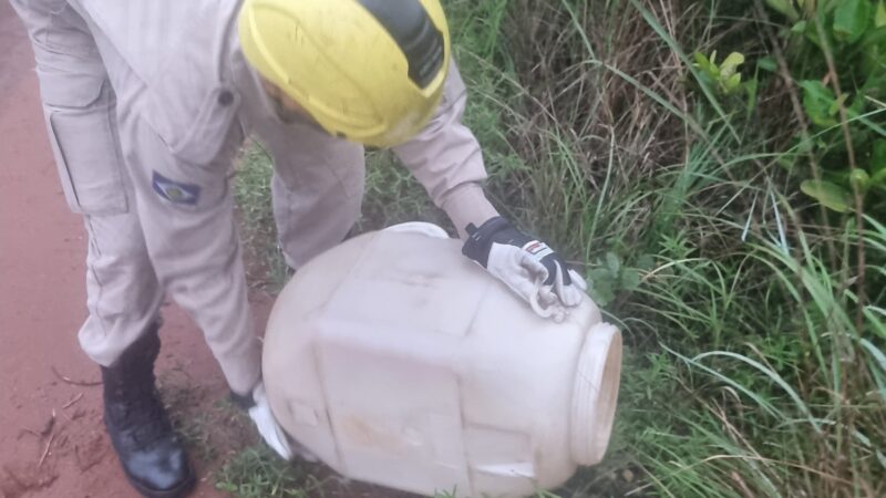 Corpo de Bombeiros captura gambá em banheiro de residência