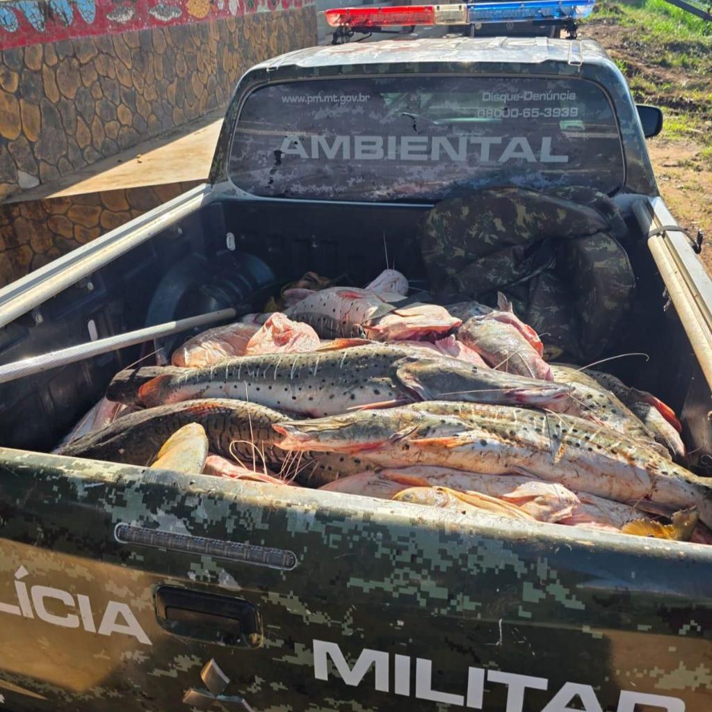 Polícia Militar apreende mais de 1 tonelada de pescado irregular em Rondonópolis