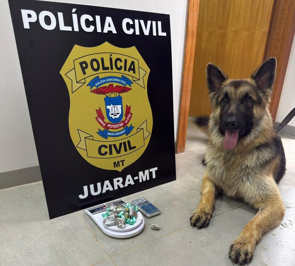 Polícia Civil prende dois homens por tráfico de drogas em Juara