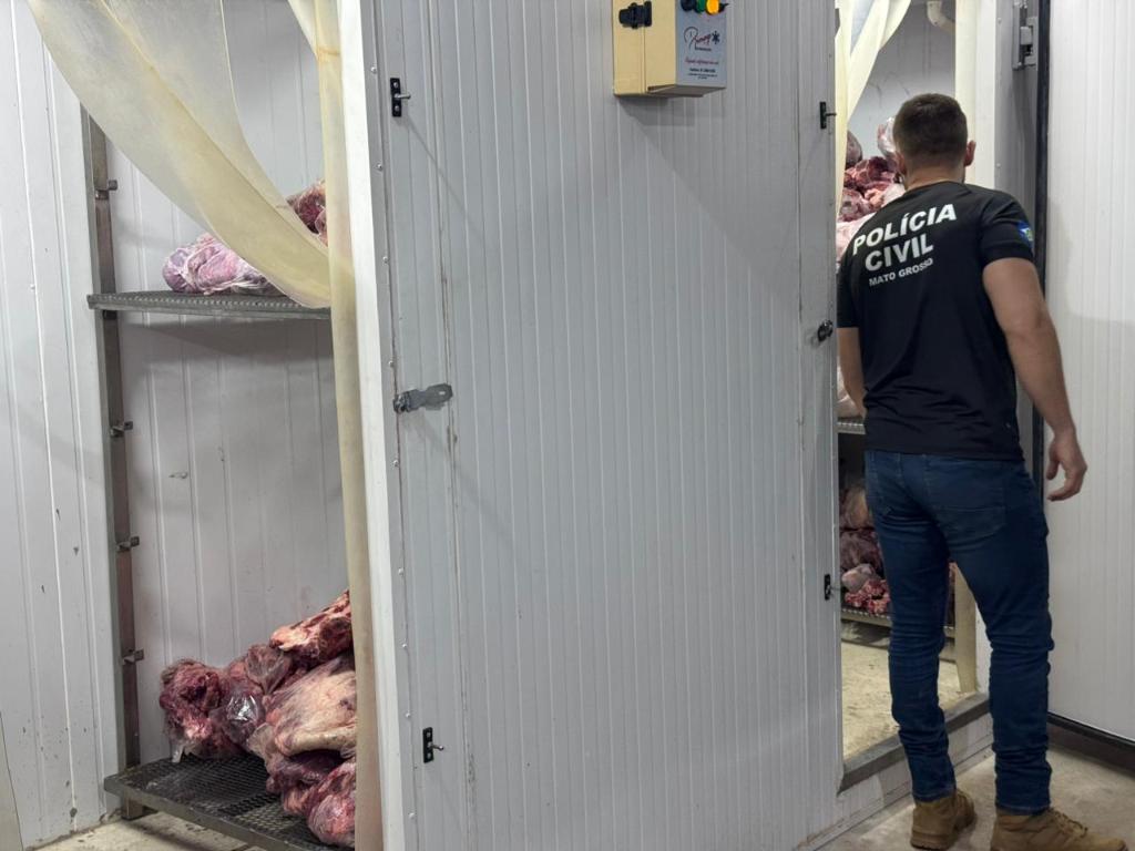 Polícia Civil identifica e conduz 11 pessoas para a delegacia por saquear carga de carne na MT-235