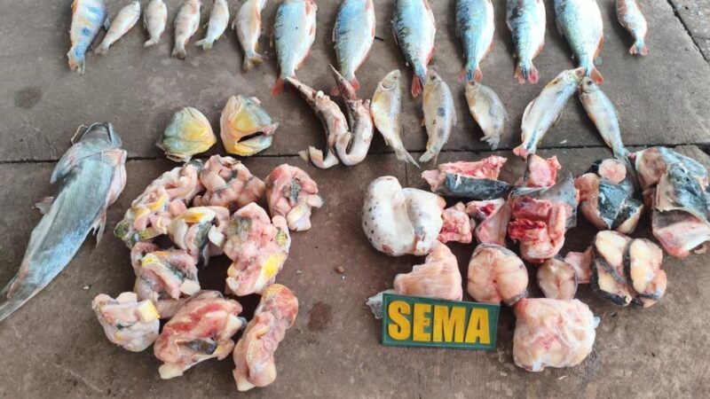 Sema e PM apreendem pescados irregulares em estabelecimento às margens do Rio Cuiabá