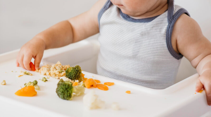 Baby GAPS: Entenda os Riscos da Dieta Restritiva para Bebês