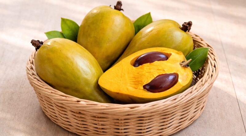 Canistel: Conheça a Fruta Amarela Conhecida como Fruta-Ovo