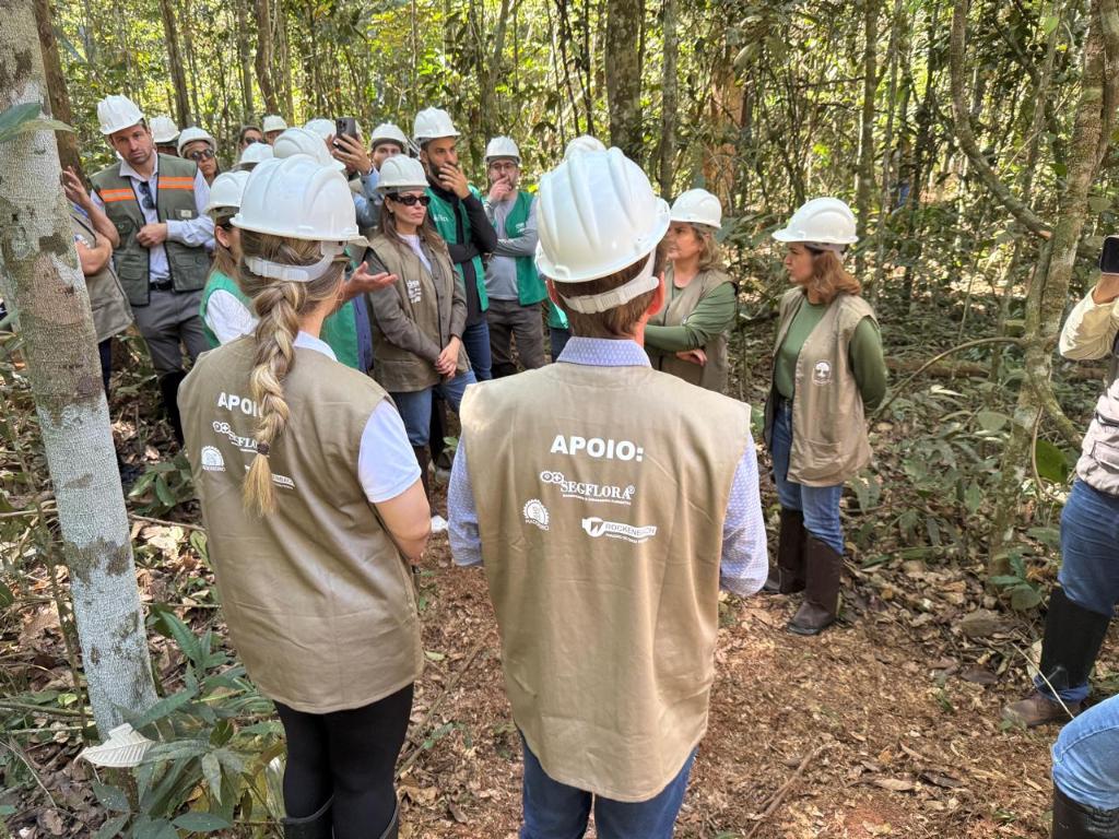 MERSÃO NA FLORESTA: Sema monitora mais de 400 planos de manejo em execução no estado de Mato Grosso