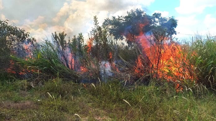 Bombeiros combatem incêndios em Santa Carmem, Peixoto, Matupá, Cláudia e mais 8 cidades de MT
