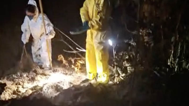 Adolescente sequestrada em Lucas do Rio Verde é encontrada morta