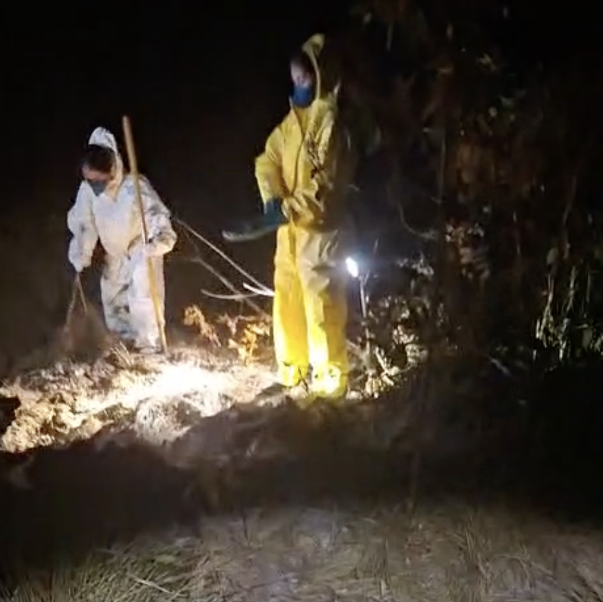 Adolescente sequestrada em Lucas do Rio Verde é encontrada morta