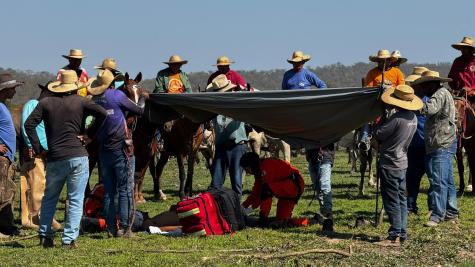 Homem é resgatado por helicóptero após queda de cavalo