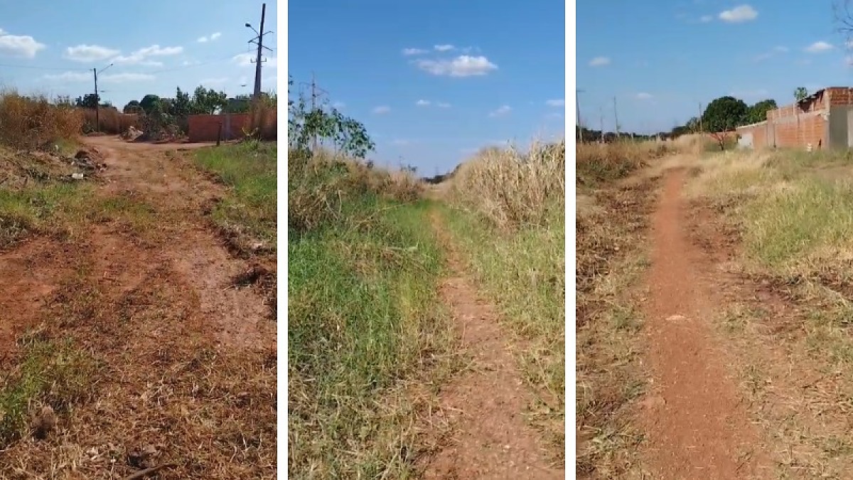 Mato invade ruas e isola moradores em bairro de Várzea Grande